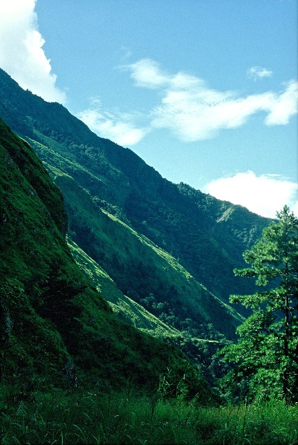 Annapurna Himl, Ghsnl