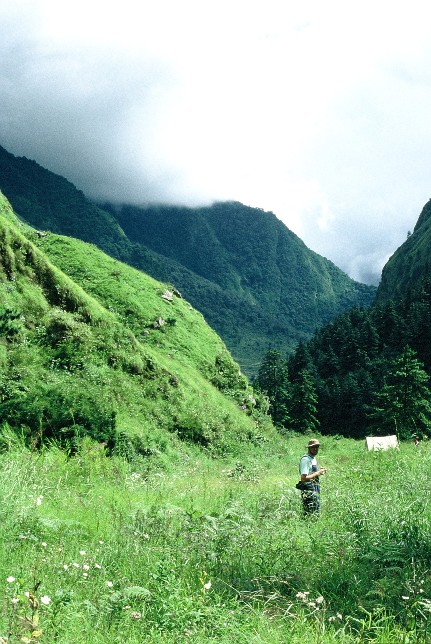 Annapurna Himl, Ghsnl, dr.Ronkay Lszlval