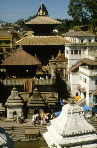 A kathmandui Pashupatinath Aranytemploma