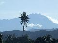 Borne - Tvolban a Kinabalu