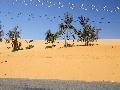 Sivatag a trpuson, Saigontl szakra